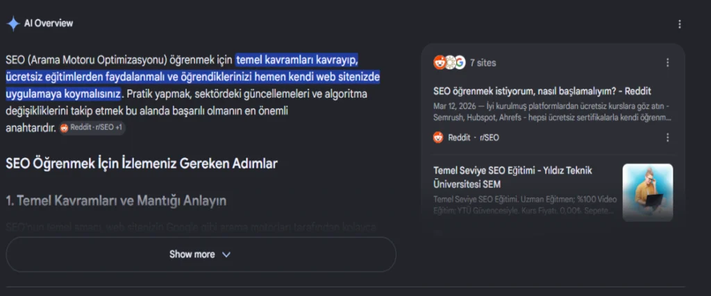 google ai overview gösteren bir görüntü